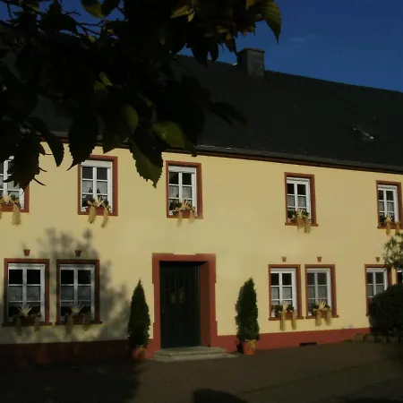 Morbach Hillside Mansion Holiday home *