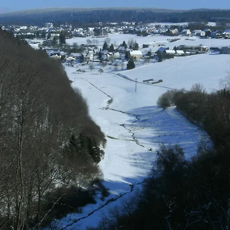 Morbach Hillside Mansion Holiday home *