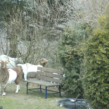 Snug In Morbach-riedenburg With Terrace * Thalfang