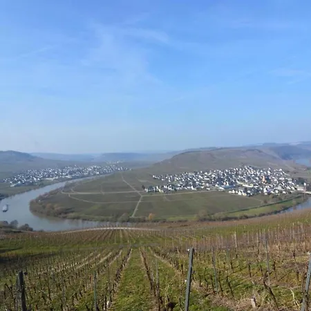 Holiday home Morbach Hillside Mansion