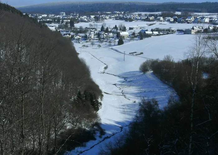 Morbach Hillside Mansion Casa vacanze *