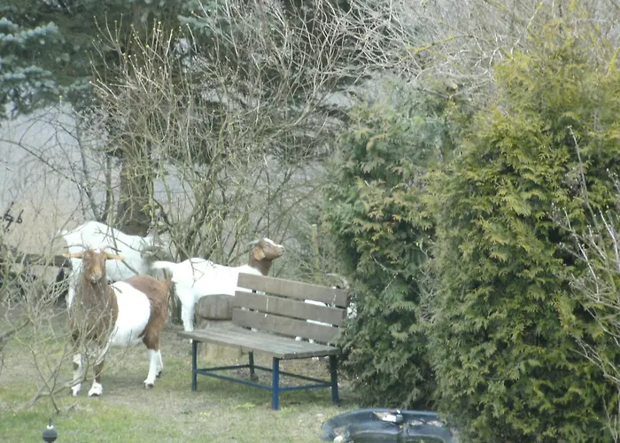 Morbach Hillside Mansion * Thalfang