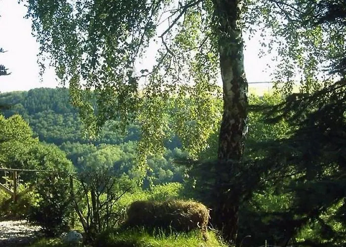 Morbach Hillside Mansion Casa vacanze *