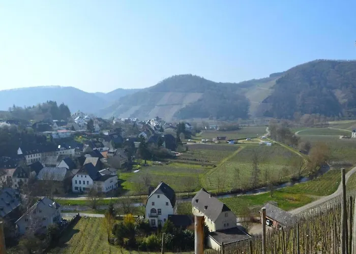 Morbach Hillside Mansion Thalfang